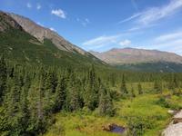 17. Tag Zugfahrt mit dem Alaska Wildness Express nach Anchorage (13)