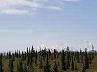 17. Tag Zugfahrt mit dem Alaska Wildness Express nach Anchorage (16)