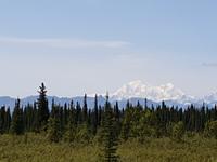 17. Tag Zugfahrt mit dem Alaska Wildness Express nach Anchorage (18)