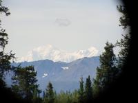 17. Tag Zugfahrt mit dem Alaska Wildness Express nach Anchorage (22)