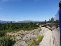17. Tag Zugfahrt mit dem Alaska Wildness Express nach Anchorage (32)