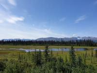 17. Tag Zugfahrt mit dem Alaska Wildness Express nach Anchorage (33)