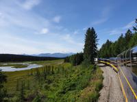 17. Tag Zugfahrt mit dem Alaska Wildness Express nach Anchorage (34)