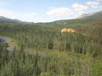 17. Tag Zugfahrt mit dem Alaska Wildness Express nach Anchorage (52)