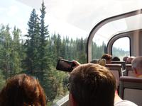 17. Tag Zugfahrt mit dem Alaska Wildness Express nach Anchorage (54)