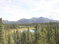 17. Tag Zugfahrt mit dem Alaska Wildness Express nach Anchorage (58)