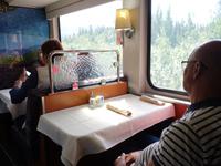 17. Tag Zugfahrt mit dem Alaska Wildness Express nach Anchorage (59)