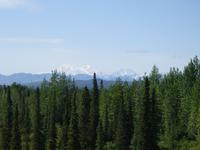 17. Tag Zugfahrt mit dem Alaska Wildness Express nach Anchorage (60)