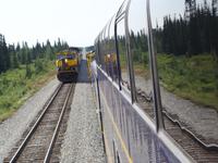 17. Tag Zugfahrt mit dem Alaska Wildness Express nach Anchorage (64)