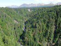 17. Tag Zugfahrt mit dem Alaska Wildness Express nach Anchorage (66)