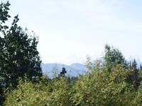 17. Tag Zugfahrt mit dem Alaska Wildness Express nach Anchorage (71)