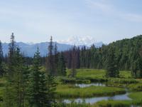 17. Tag Zugfahrt mit dem Alaska Wildness Express nach Anchorage (74)