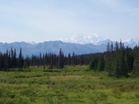 17. Tag Zugfahrt mit dem Alaska Wildness Express nach Anchorage (75)