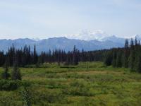 17. Tag Zugfahrt mit dem Alaska Wildness Express nach Anchorage (76)