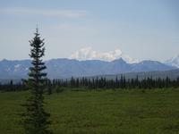 17. Tag Zugfahrt mit dem Alaska Wildness Express nach Anchorage (86)