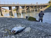 18. Tag Freizeit in Anchorage (1)