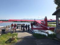 18. Tag Grizzly-Bärenbeobachtungen mit Wasser-Flugzeug & Boot bei Anchorage (2)