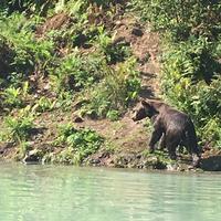 18. Tag Grizzly-Bärenbeobachtungen mit Wasser-Flugzeug & Boot bei Anchorage