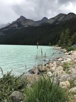 Lake Louise 