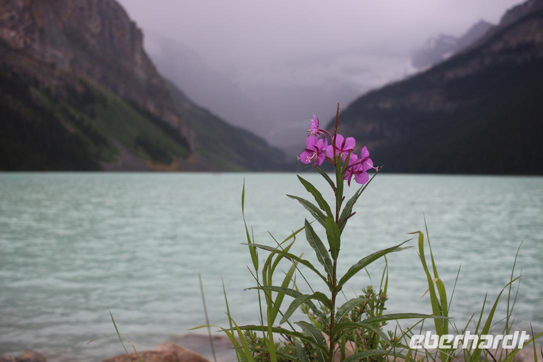 Lake Louise