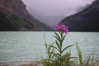 Lake Louise