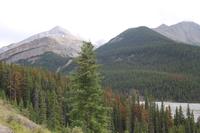 Icefiels Parkway
