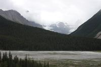Athabasca Gletscher