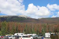 Landschaft beim Maligne Canyon
