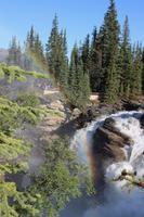 Athabasca Falls