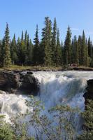 Athabasca Falls