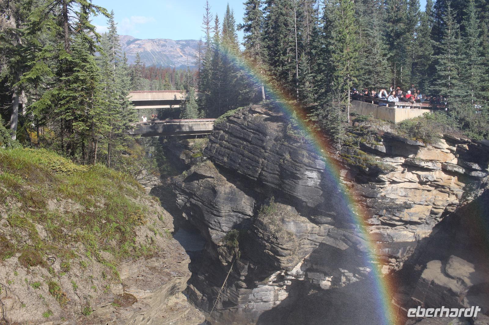 Athabasca Falls