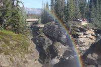 Athabasca Falls