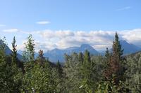 Landschaft um Jasper