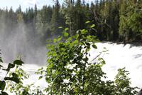 Wells Grey Provincial Park - Dawson Falls