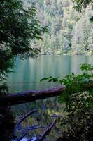 MacMillan Provincial Park - Vancouver Island