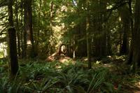 MacMillan Provincial Park - Vancouver Island