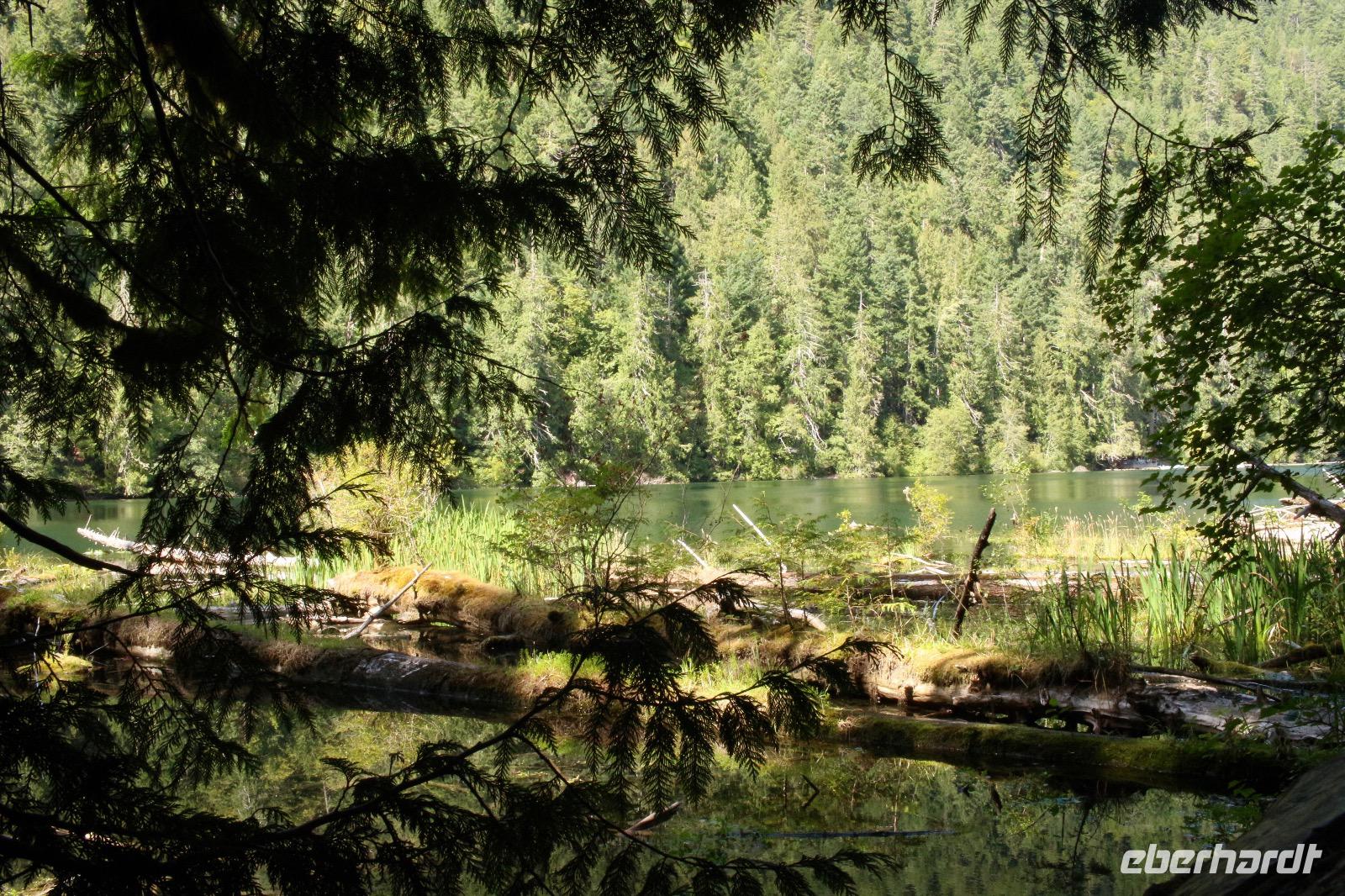 MacMillan Provincial Park - Vancouver Island
