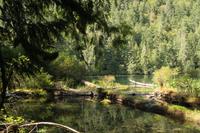 MacMillan Provincial Park - Vancouver Island