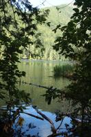 MacMillan Provincial Park - Vancouver Island