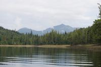 Bärenbeobachtung im Pacific Rim Nationalpark