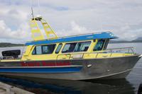 Bärenbeobachtung im Pacific Rim Nationalpark