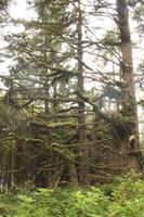 Pacific Rim Nationalpark