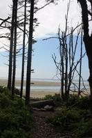 Pacific Rim Nationalpark