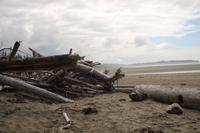 Combers Beach im Pacific Rim Nationalpark