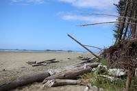Combers Beach im Pacific Rim Nationalpark