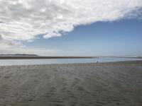 Combers Beach im Pacific Rim Nationalpark