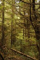 Pacific Rim Nationalpark