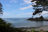 Nuu-chah-nulth-Trail im Pacific Rim Nationalpark