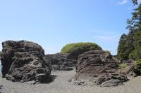 Nuu-chah-nulth-Trail im Pacific Rim Nationalpark