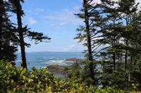 Nuu-chah-nulth-Trail im Pacific Rim Nationalpark